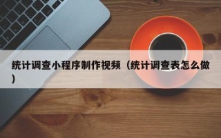 衡阳统计调查小程序制作视频（统计调查表怎么做）